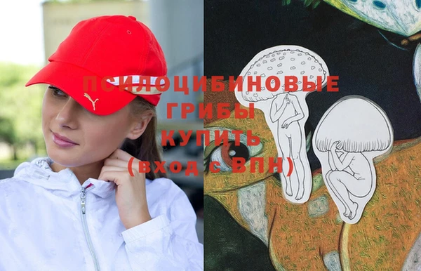 соль ск Абинск
