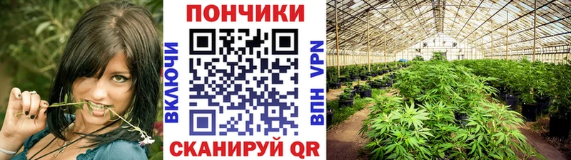 Конопля семена  наркошоп  Азнакаево 